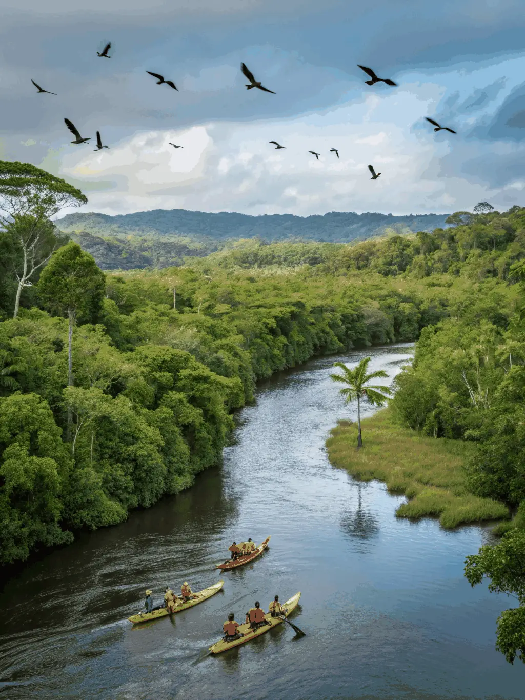 A photograph of kayakers navigating a slightly more challenging section of the river, demonstrating the skill and excitement of kayaking. The kayakers are wearing helmets and life jackets for safety.